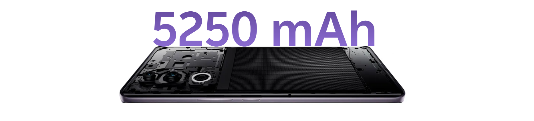 vivo v40