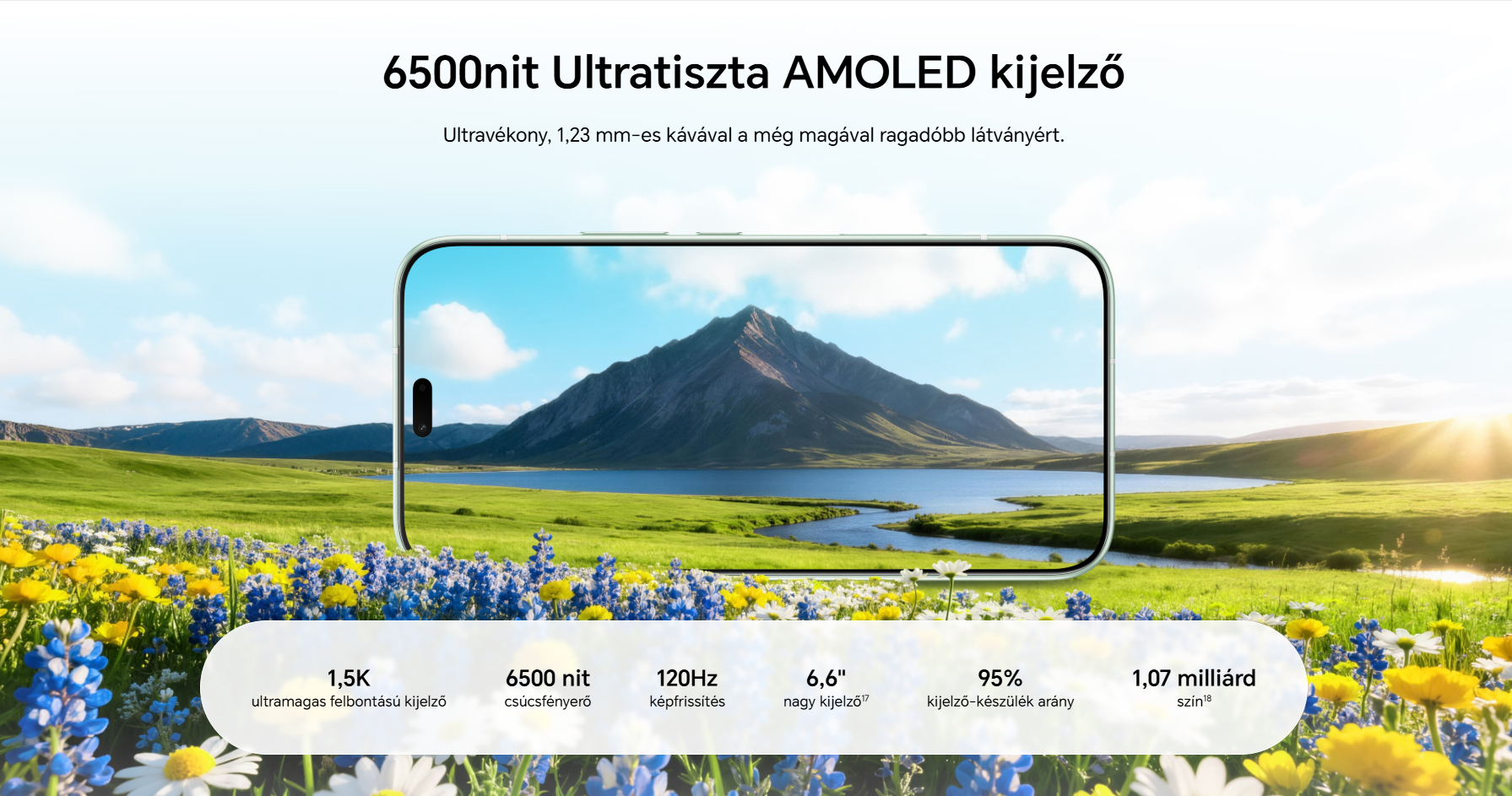 honor 600 lite