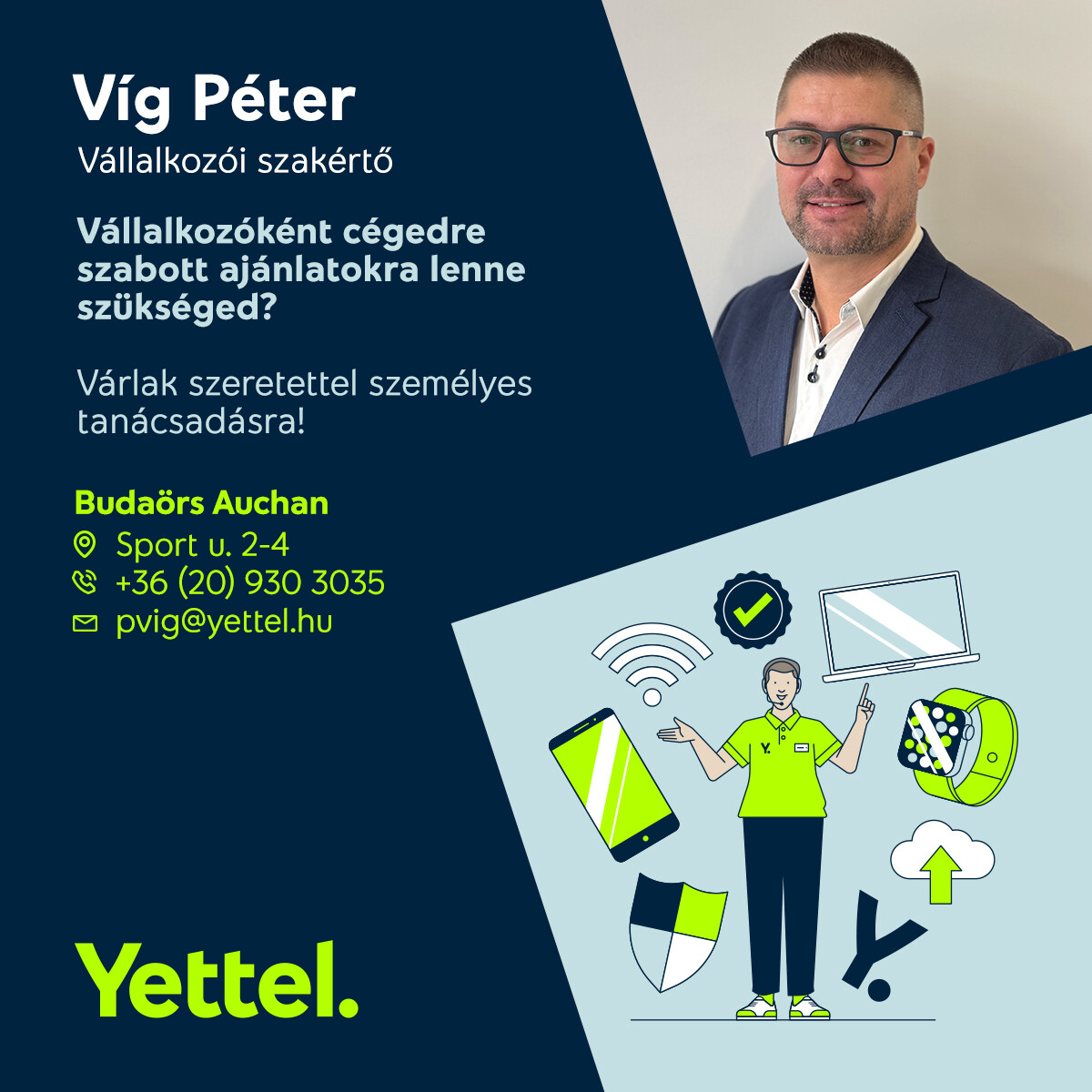 Vig Péter expert