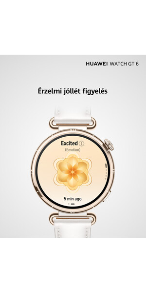 HUAWEI Watch GT6 46mm, black