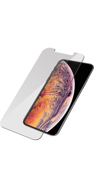 P.glass iPhone XS Max Basic Privacy