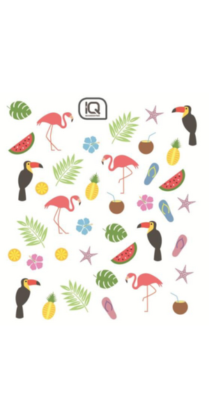 Dekormatrica, Tropusok Dekormatrica, Tropusok